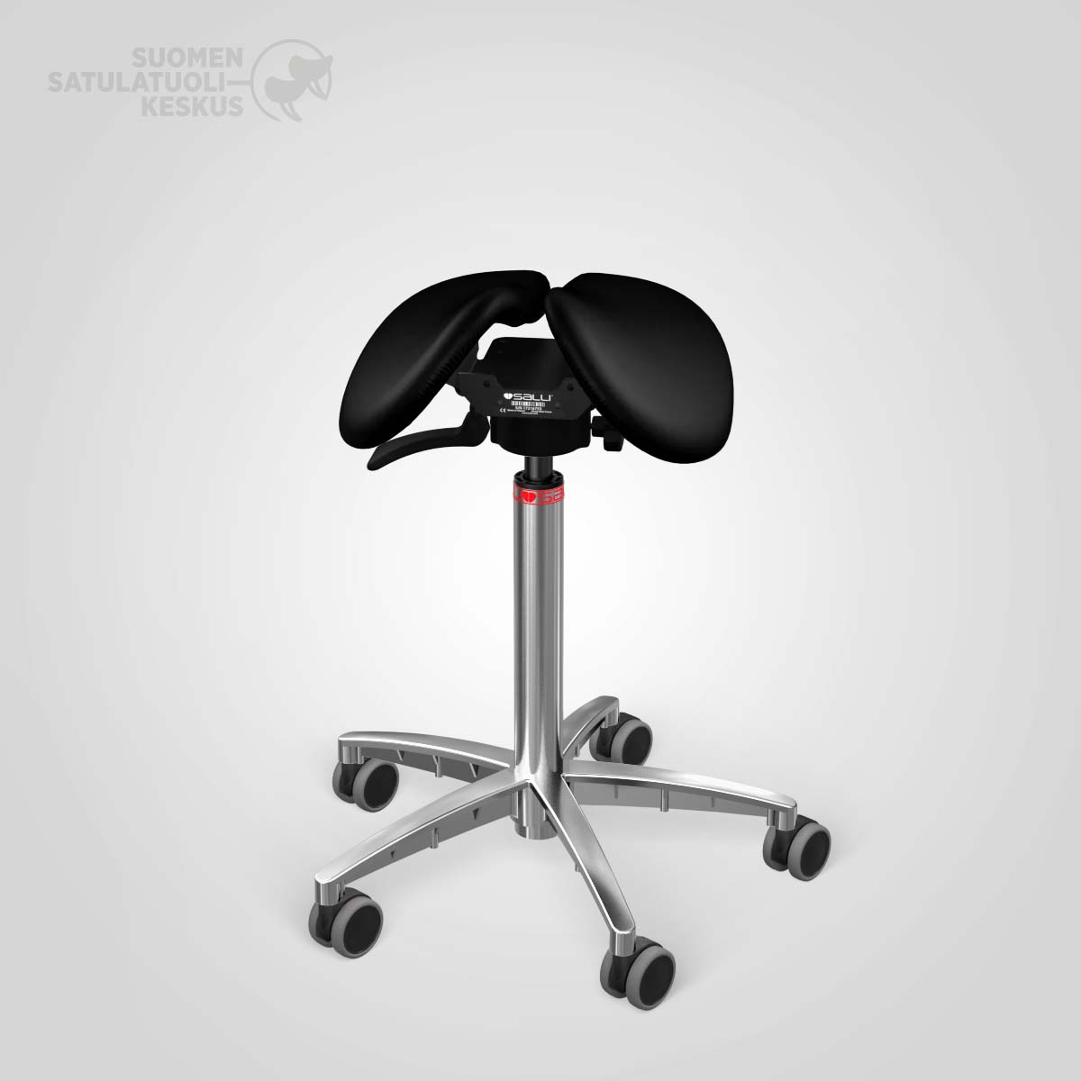 Salli Swing